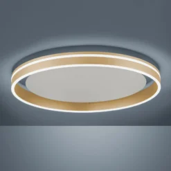 Paul Neuhaus Q-VITO LED-Deckenlampe, Ø 60cm